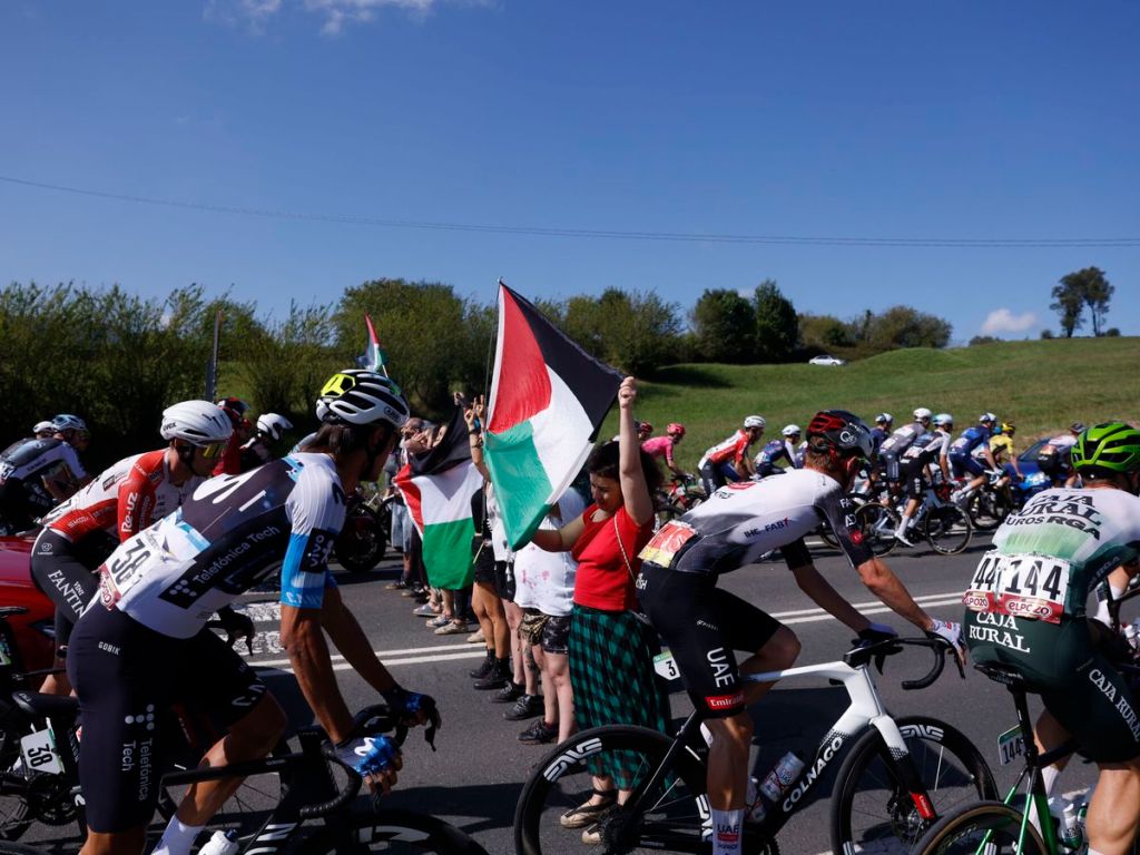 amal LLanes_Palestina