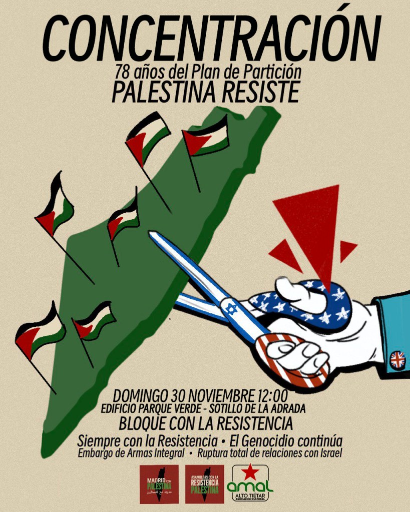 amal_cartel 29 n sotillo