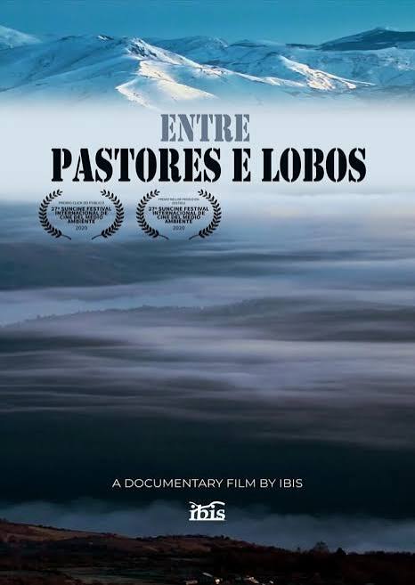 4 | Entre Pastores y Lobos (2020) | Charla con Mª Teresa Martín Madrigal
